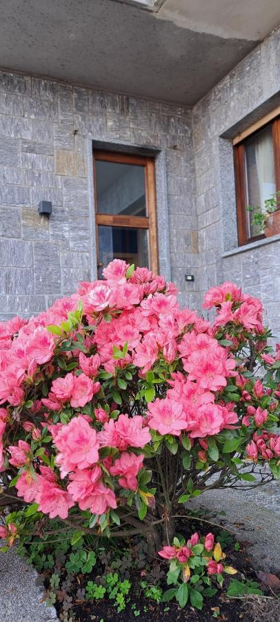 Villa La Serra Бавено Экстерьер фото